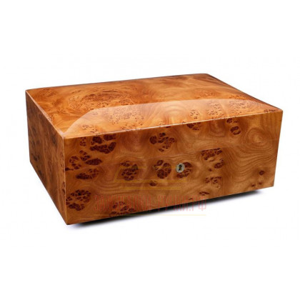 Хьюмидор Gentili Dome Top на 70 сигар, Вяз \ SV50-Elm Dome Top